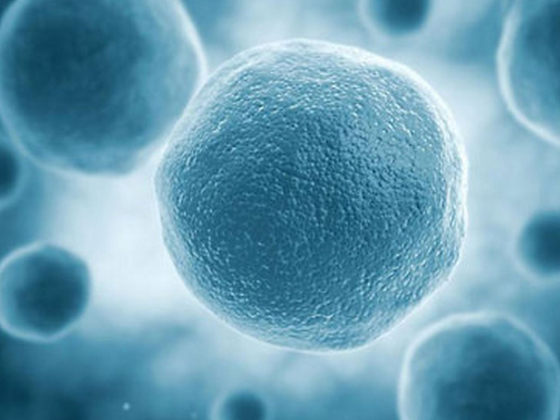 细胞：有机世界中的奇迹