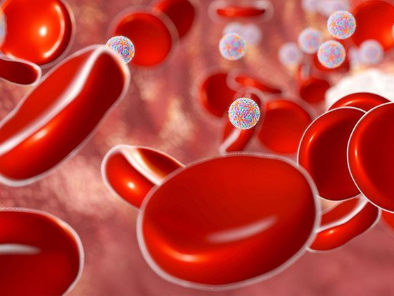 血小板的重要性