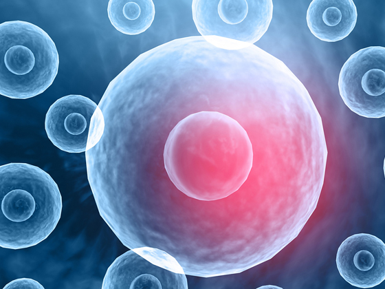 探索细胞的秘密