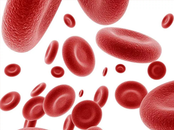 血小板：血液中的重要角色